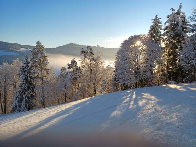 Winter im Naturpark Pöllauer Tal Winter im Naturpark Pöllauer Tal