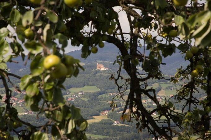 Naturpark Pöllauer Tal im Herbst