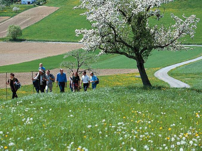 Frühling im Naturpark Pöllauer Tal