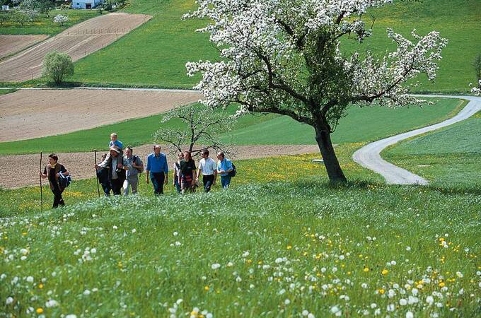 Frühling im Naturpark Pöllauer Tal