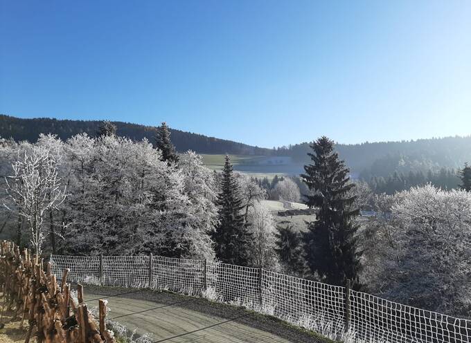 Ausblick auf gefrorene Bäume biem 4* Hotel Waldhof Muhr