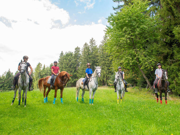 Reiten im 4* Hotel Waldhof Muhr