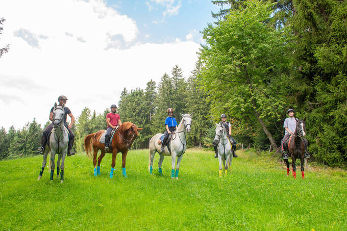 Reiten auf den Pferden des Hotel Waldhof Muhr