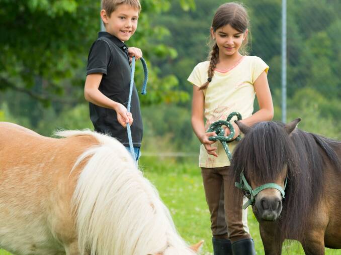Kinder mit Ponys des Hotels Waldhof Muhr Kinder mit Ponys des Hotels Waldhof Muhr