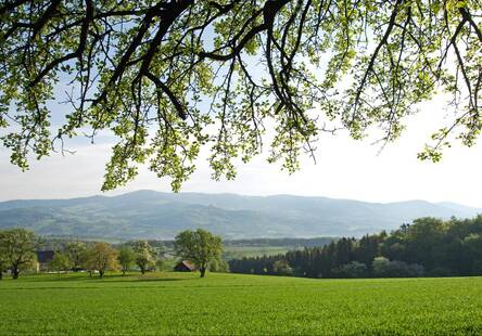 Naturpark Pöllauer Tal