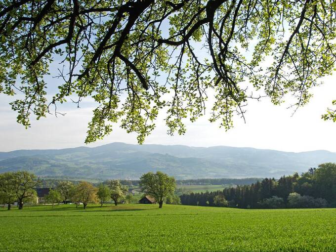 Frühling im Naturpark Pöllauer Tal (c) Rita Newman