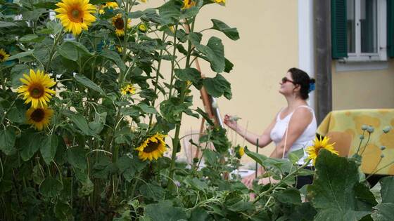 Ölmalerei Styrian Summer Art Ölmalerei Styrian Summer Art