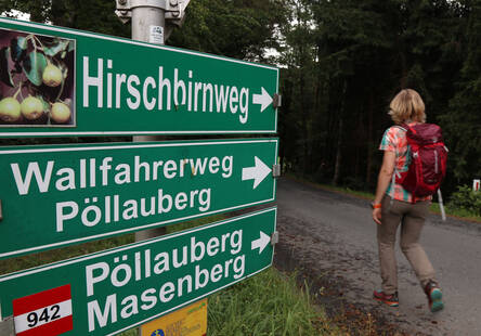 Hirschbirnen & Wandergenuss
