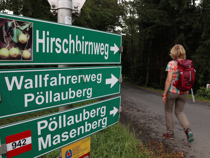 Hirschbirnweg im Naturpark Pöllauer Tal