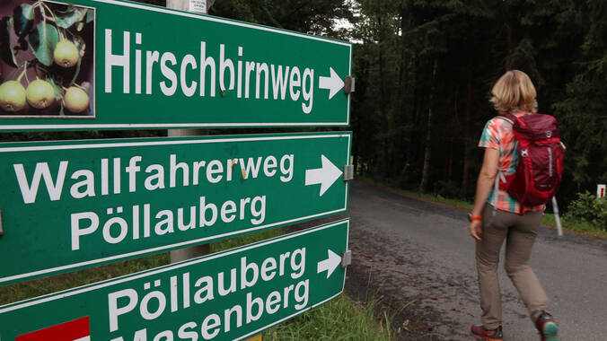 Hirschbirnen & Wandergenuss