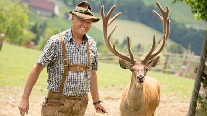 Liebesleben am Waldesrand