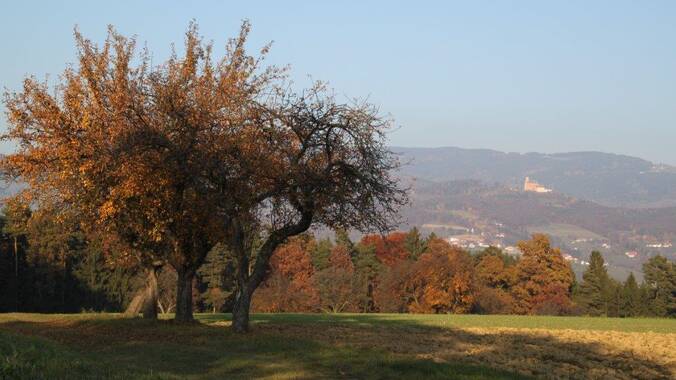 Herbst