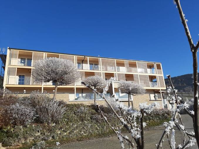 Angeeiste Bäume vorm Hotel Waldhof Muhr