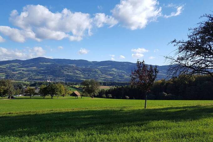 Ausblick in den Naturpark Pöllauer Tal, Fotografin Christine Schwetz