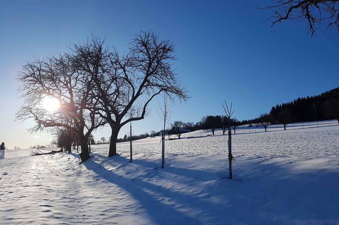Wunderschöne Winterlandschaft rund um das Hotel Waldhof Muhr (c) Christine Schwetz