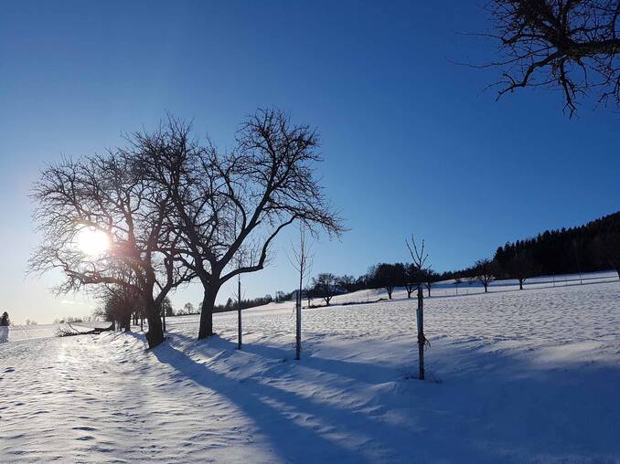 Winterlandschaft mit Sonne (c) Christine Schwetz.