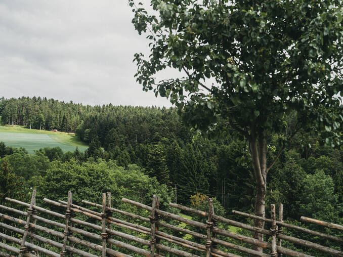 Aussicht im Herbst vom Hotel Muhr.