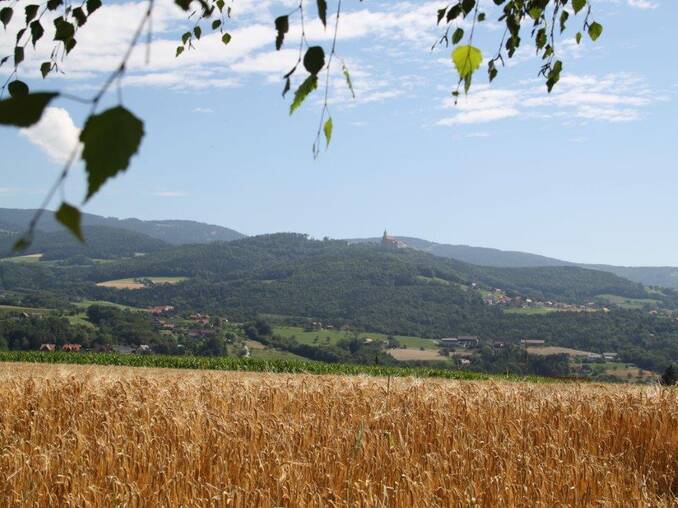 Blick auf Pöllauberg in der Oststeiermark Blick auf Pöllauberg in der Oststeiermark
