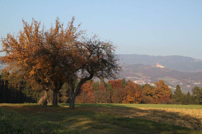 Herbst in Pöllauberg (c) Lamhansl