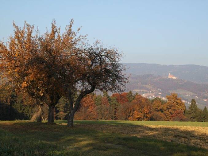 Herbst im 4* Hotel Waldhof Muhr