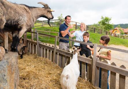 Familienurlaub im Sommer