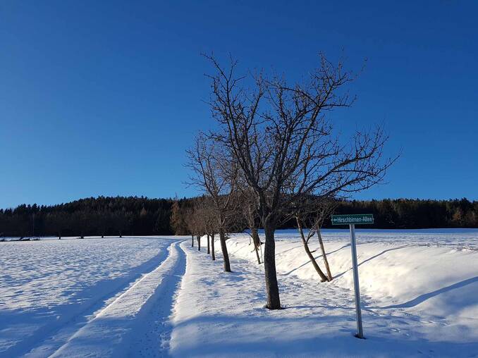 Winterlandschaft im Naturpark Pöllauer Tal (c) Christine Schwetz