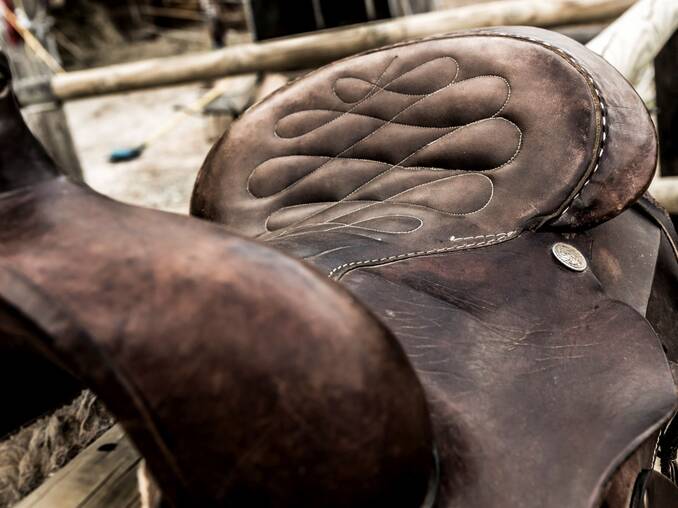 Sattel des Hotel Muhr