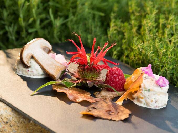 Zarte Speise im Hotel Muhr Zarte Speise im Hotel Muhr