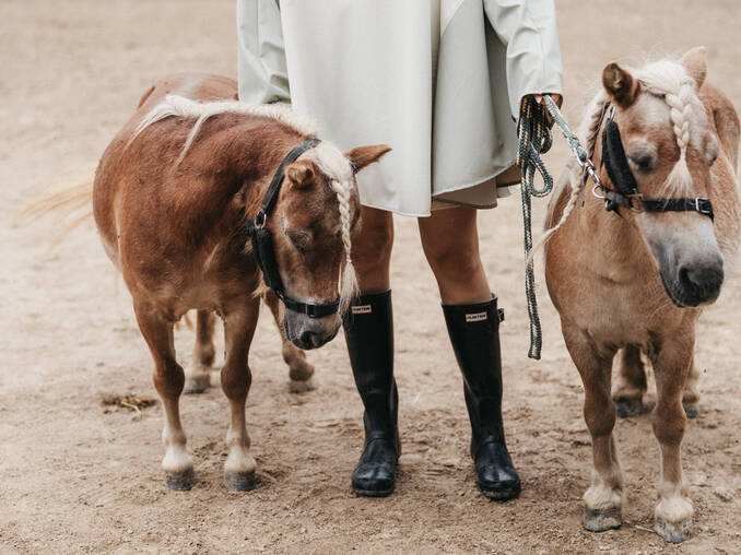 Sparziergang mit Pony im Hotel Muhr